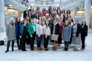 WLI Political Development Series