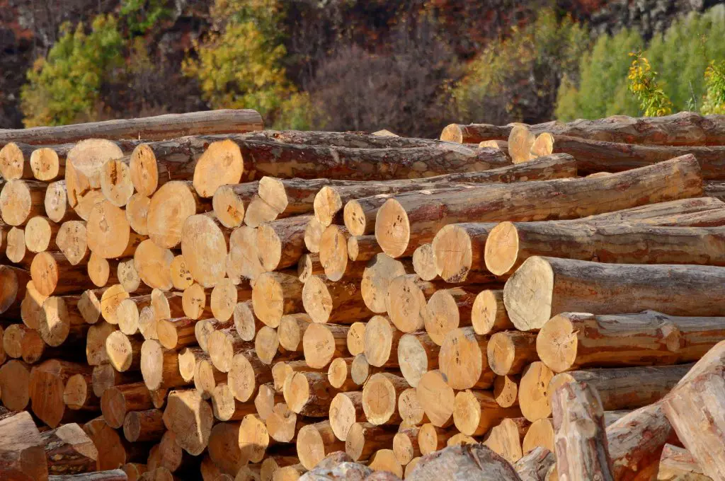 wood innovation grant sunroc