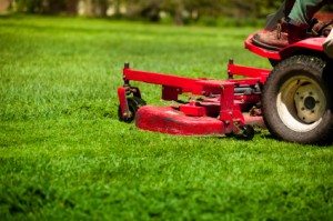 Yard Safety Lawn Mower Safety Tips